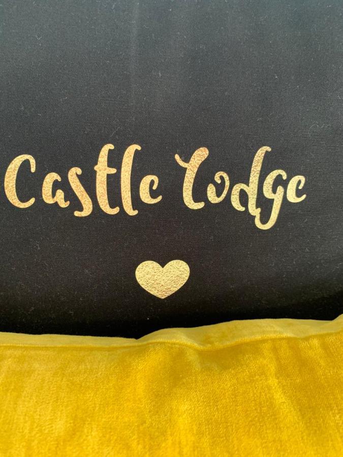 Castle Lodge guest house Newport  Extérieur photo